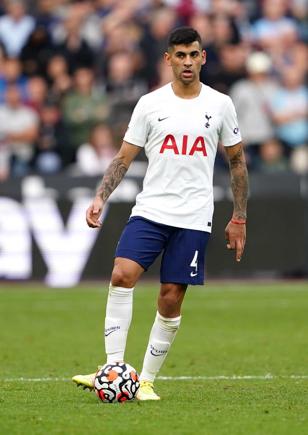 Tottenham vs Brentford