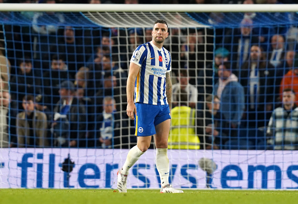 Brighton v Wolves - Preview