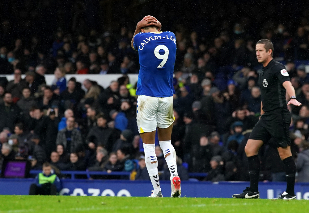 Everton v Newcastle United - Preview