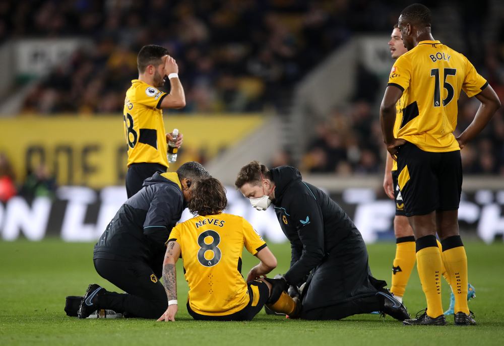 Wolves vs Brighton