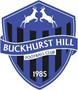 Buckhurst Hill FC