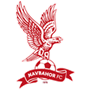 Navbahor Namangan Team Logo