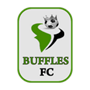 Buffles de Borgou Team Logo