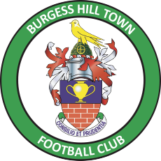 Burgess Hill Town Team Logo