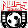 team logo