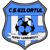 Gilortul Team Logo