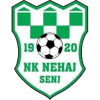 Nehaj Sejn Team Logo