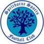 Spelthorne Sports