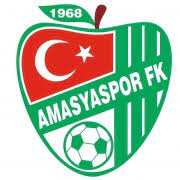 Yeni Amasyaspor Team Logo
