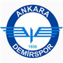 Ankara Demirspor Team Logo