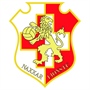 Naxxar Lions Team Logo