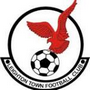 Leighton Town Team Logo