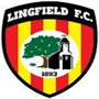 Lingfield Team Logo