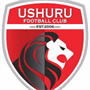 Ushuru