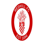 Redhill FC Team Logo