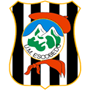 Union Montanesa Escobedo Team Logo