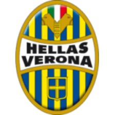 Verona U19 Team Logo