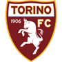 Torino U19 Team Logo