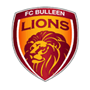 Bulleen Lions Team Logo