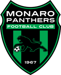 Monaro Panthers Team Logo