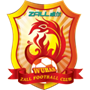 Wuhan Yangtze River FC