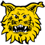 Ilves U20 Team Logo