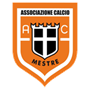 Mestre Team Logo