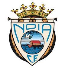 Noia Team Logo