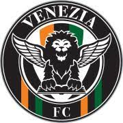 Venezia U19 Team Logo