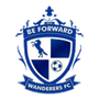 Mighty Wanderers FC Team Logo
