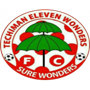Eleven Wonders
