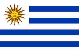 Uruguay Team Logo