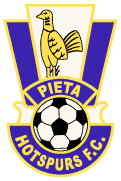 team logo