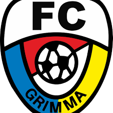 team logo