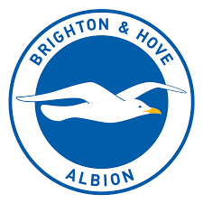 Brighton and Hove Albion (w) Team Logo