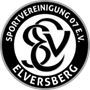 Elversberg Team Logo