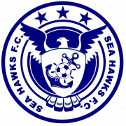 Navy Sea Hawks