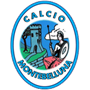 Montebelluna Team Logo