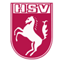 Hammer Spielvereinigung