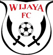 team logo