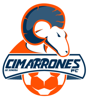 team logo