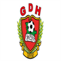 Desportivo Huila Team Logo
