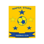 NAPSA Stars Team Logo