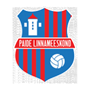 Paide Linnameeskond II Team Logo