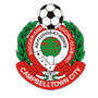 Campbelltown City Reserves Team Logo