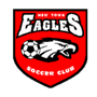 New Town White Eagles FC Team Logo