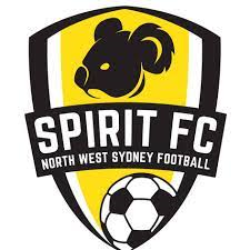 NWS Spirit (w) Team Logo
