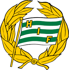 Hammarby U19 Team Logo