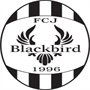 FC Jyvaskyla Blackbird