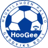 team logo